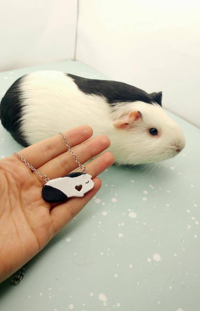 best gifts for guinea pig lovers custom necklace