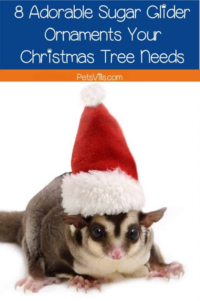 Get ready to deck the halls- and your tree- with the cutest sugar glider ornaments you ever did see! From personalized to painted, these baubles are the best!