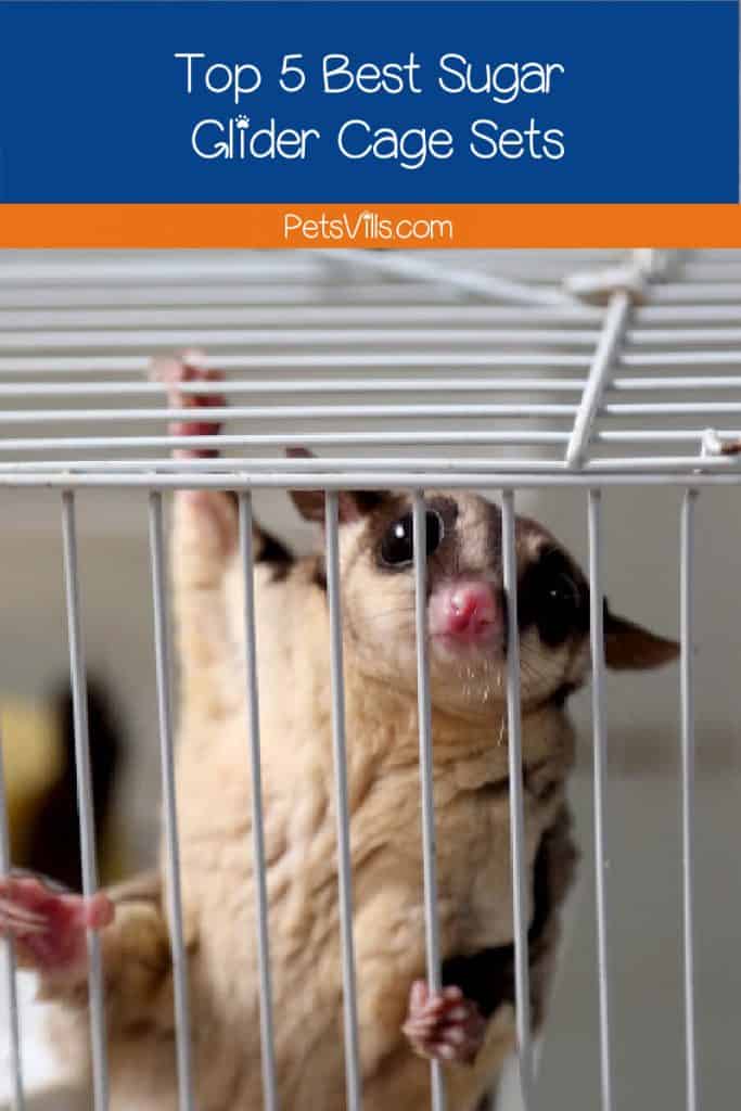 Searching for the best sugar glider cage sets? You've come to the right place! We compiled 5 habitat sets to make your pet comfy and safe.