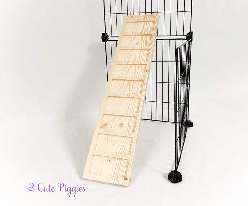personalized guinea pig ramp made of wood