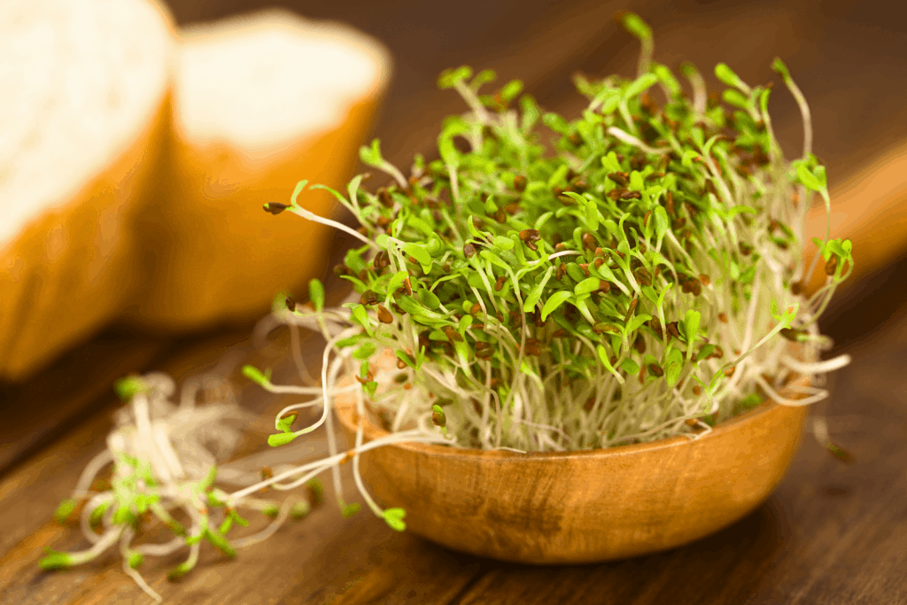 bean sprouts on a wooden bowl