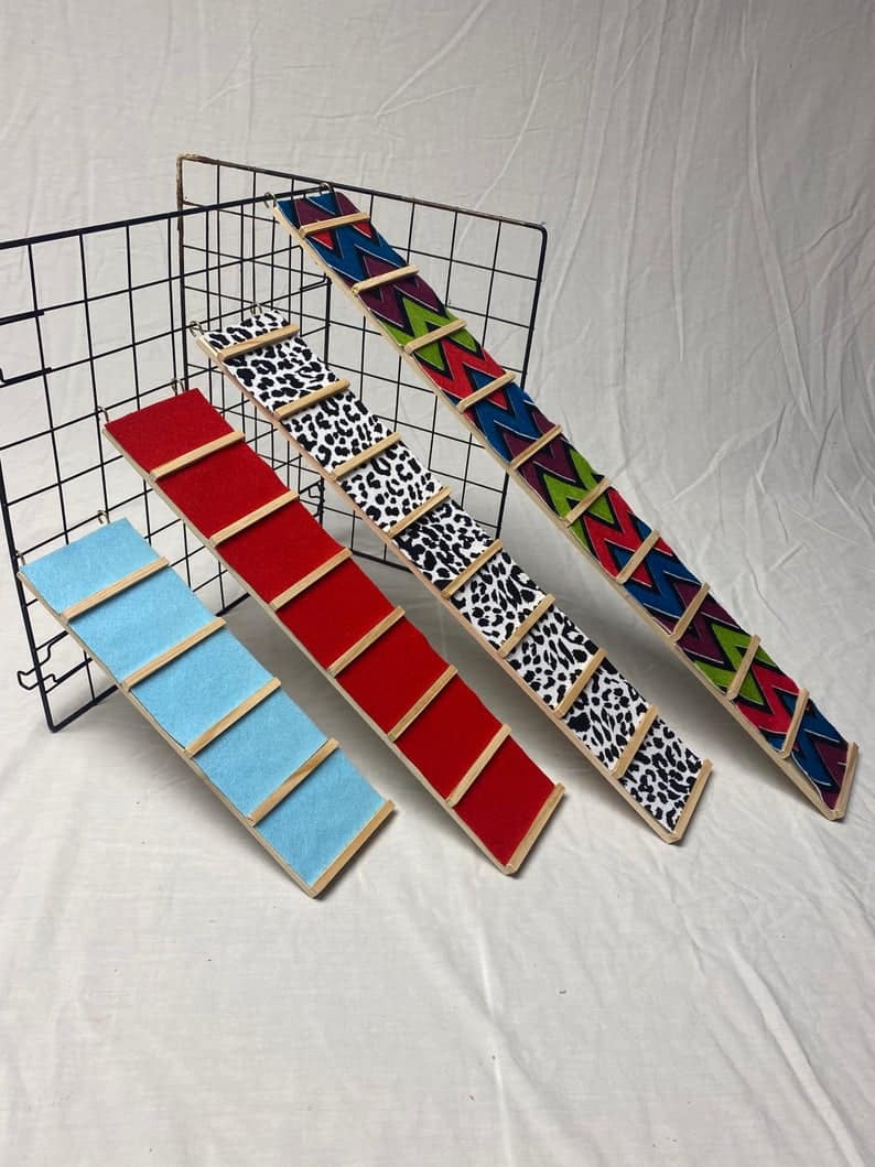 different styles of guinea pig ramp: color blue, red, animal printed and spiral