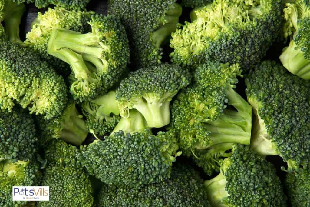 several pieces of fresh broccoli
