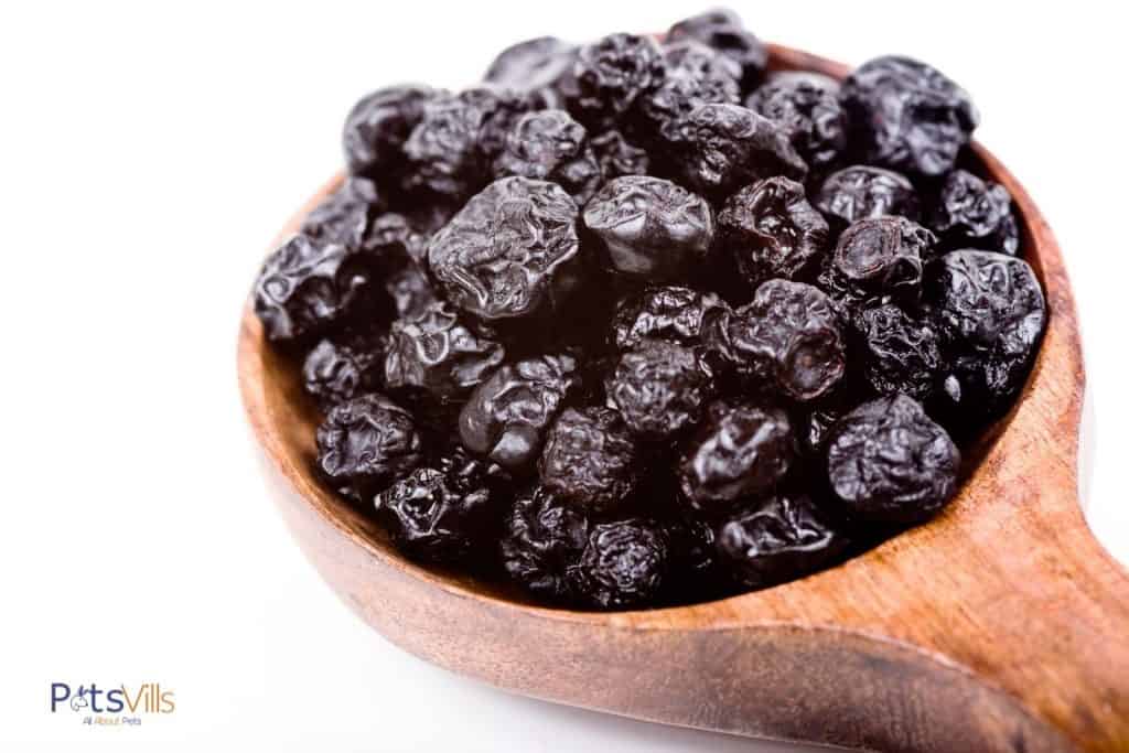 dried blueberries in a wooden spoon