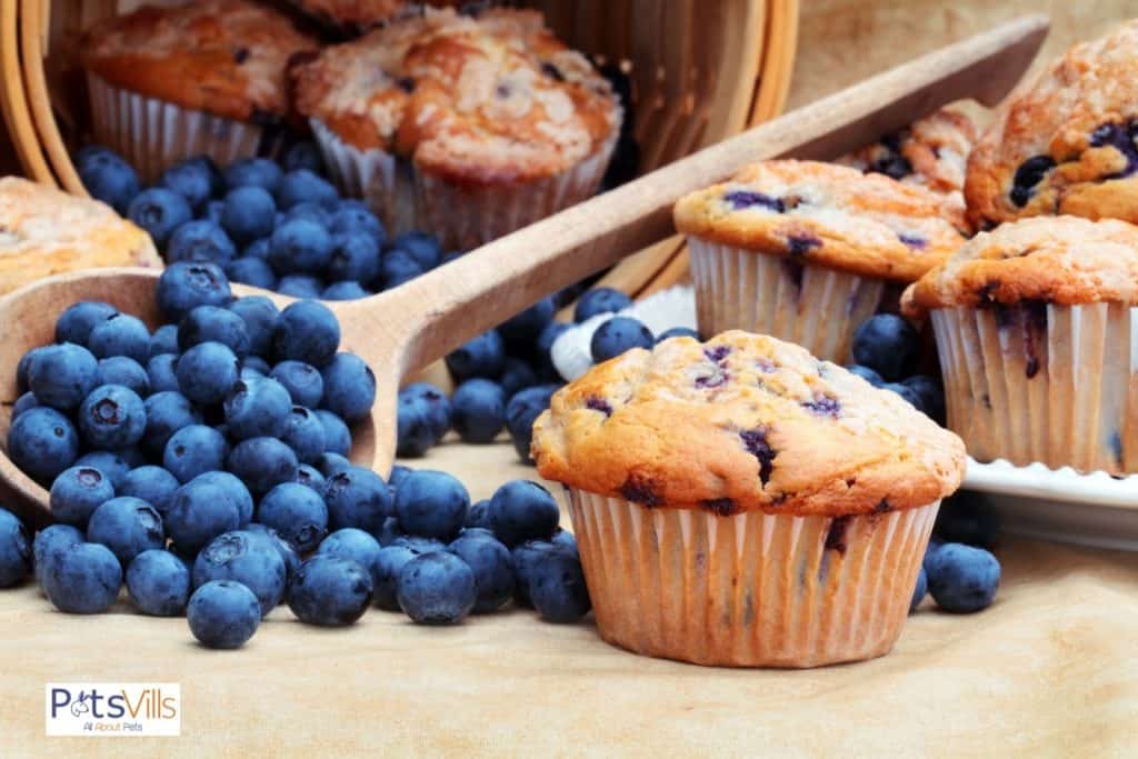 fresh-baked blueberry muffins