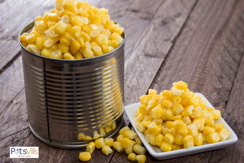 corn in a can and small plate