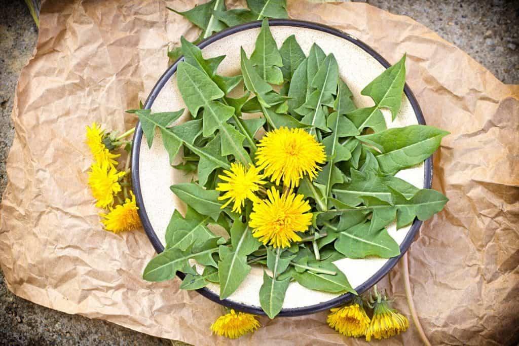 a plate full of dandelion flowers and leaves