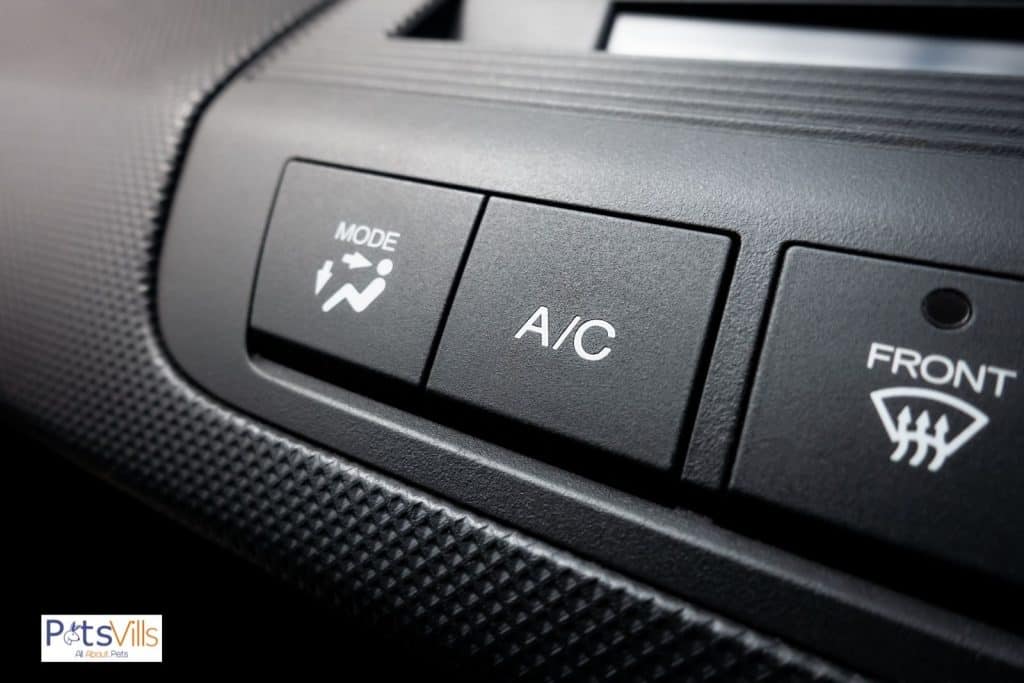 car AC button