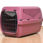 pink pet carrier
