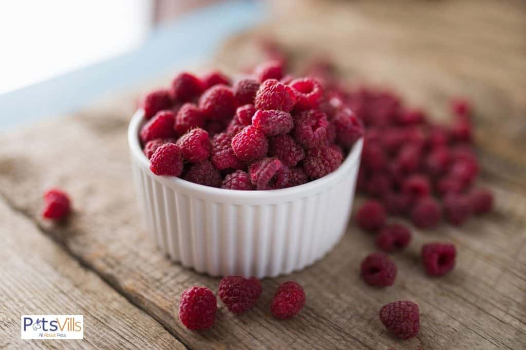 raspberries in a little bowl