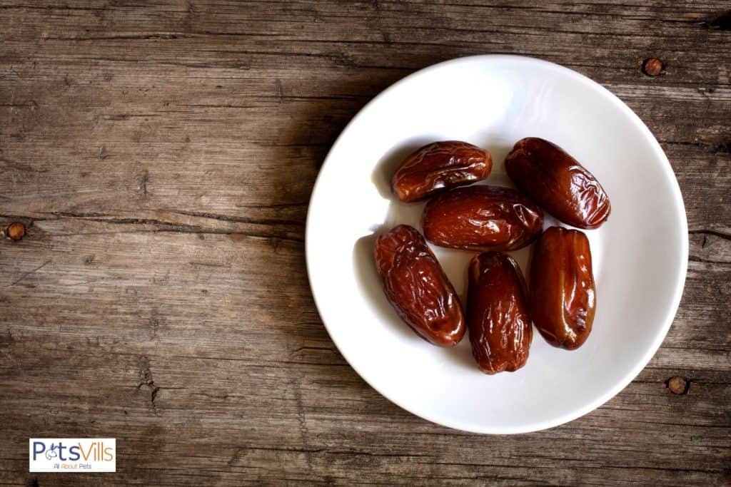 dates in a white plate