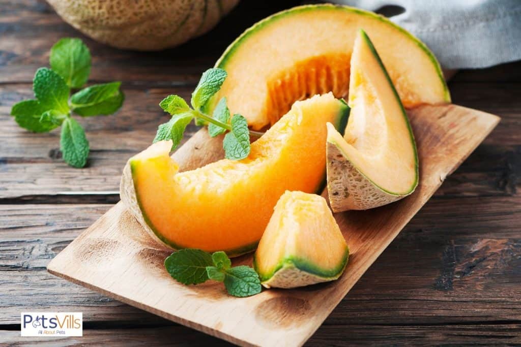 cantaloupe placed on a wooden board