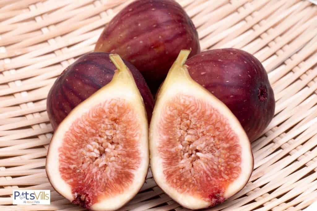 Fig fruits