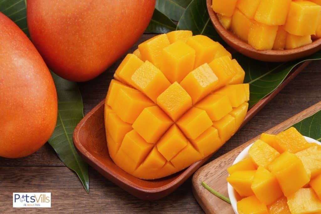 fresh ripe mangoes
