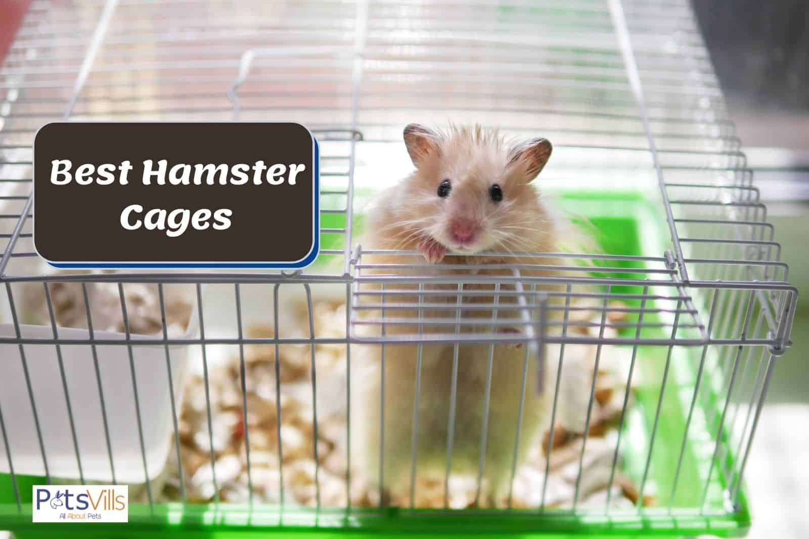 a hamster stand at one of the best hamster cages