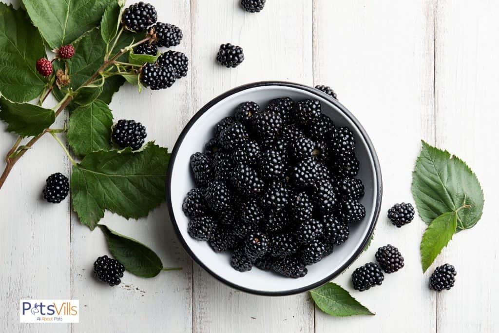 a bowl of blackberries on a table