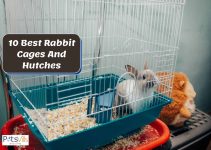 10 Best Rabbit Cages and Hutches (Detailed Review)