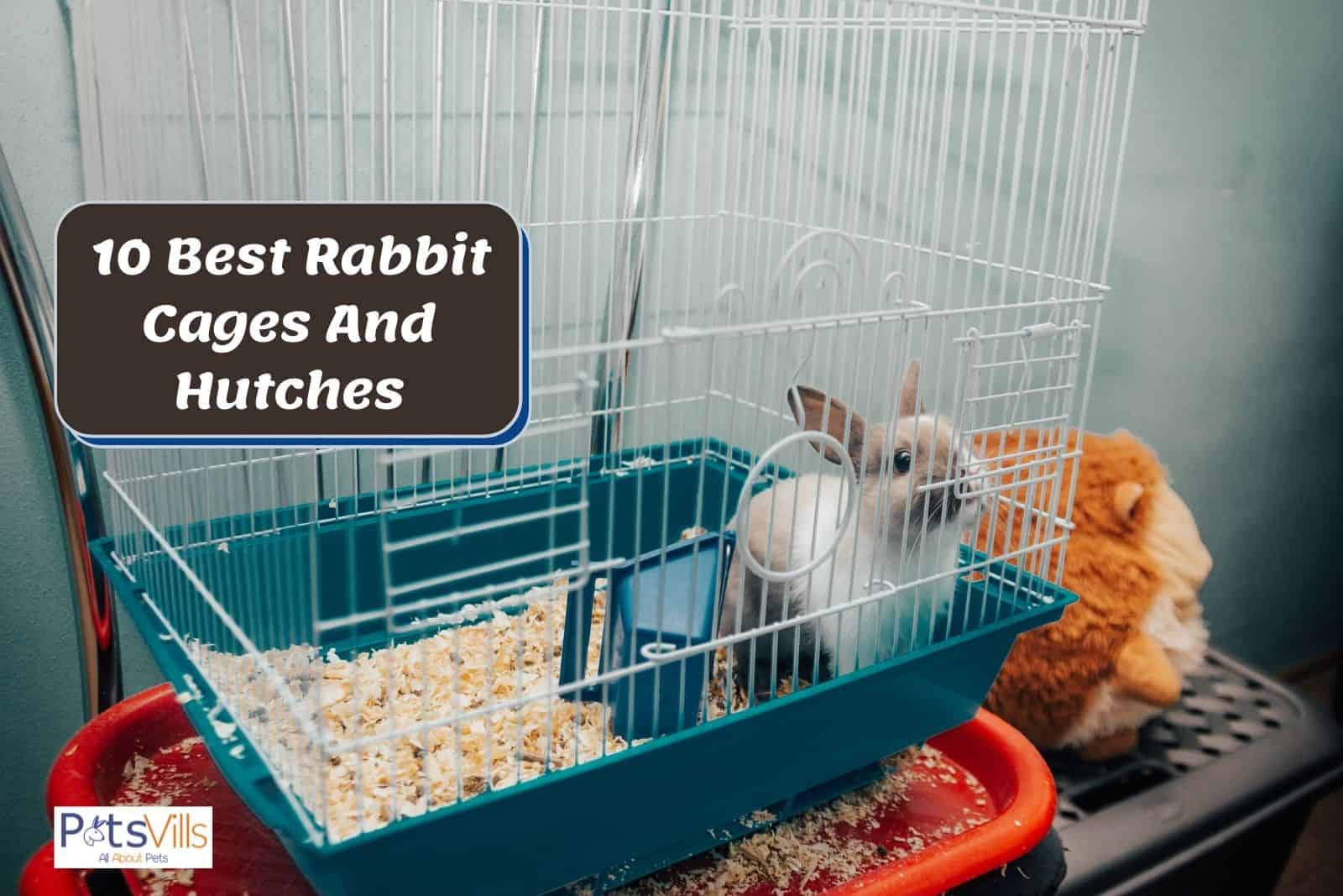 10 Best Rabbit Cages and Hutches (2022 Detailed Review)