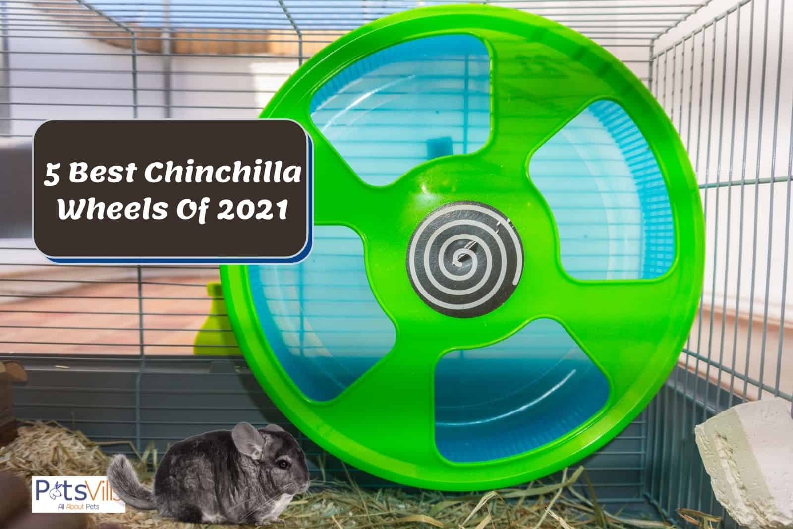 Quality Cage Crafters 15 Chin Spin Chinchilla Wheel Handmade in USA Built to Last Quietest Wheel You Will Find Prairie Dog Wheel 