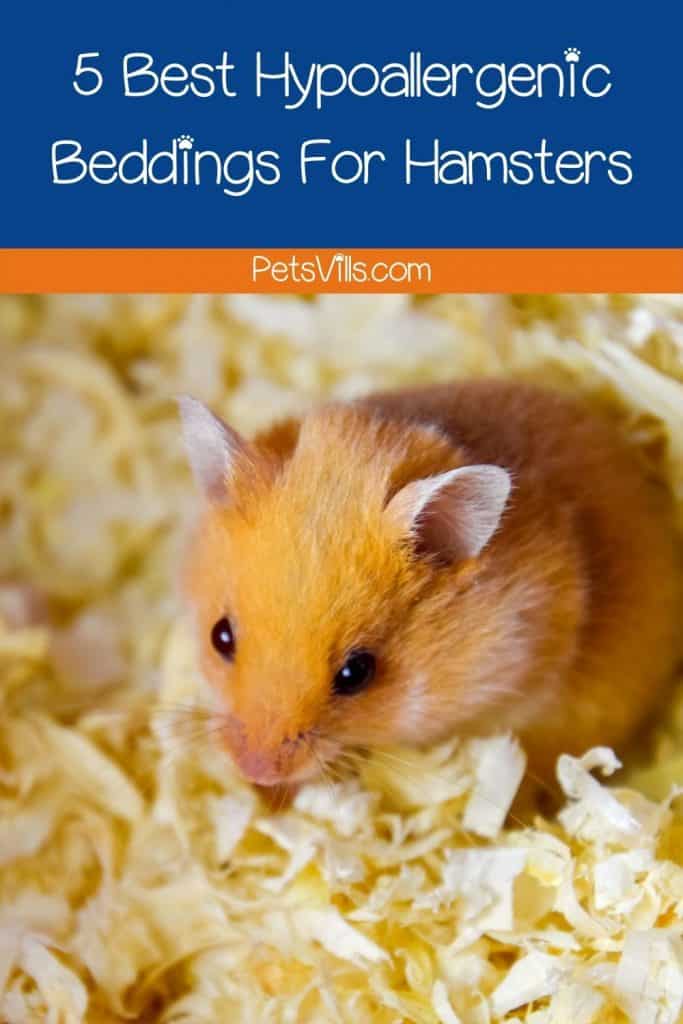 a hamster with bedding in cage