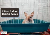 5 Best Indoor Rabbit Cages That Are Functional (Review)