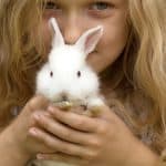 a child playing with rabbit, are rabbit good pets for kids