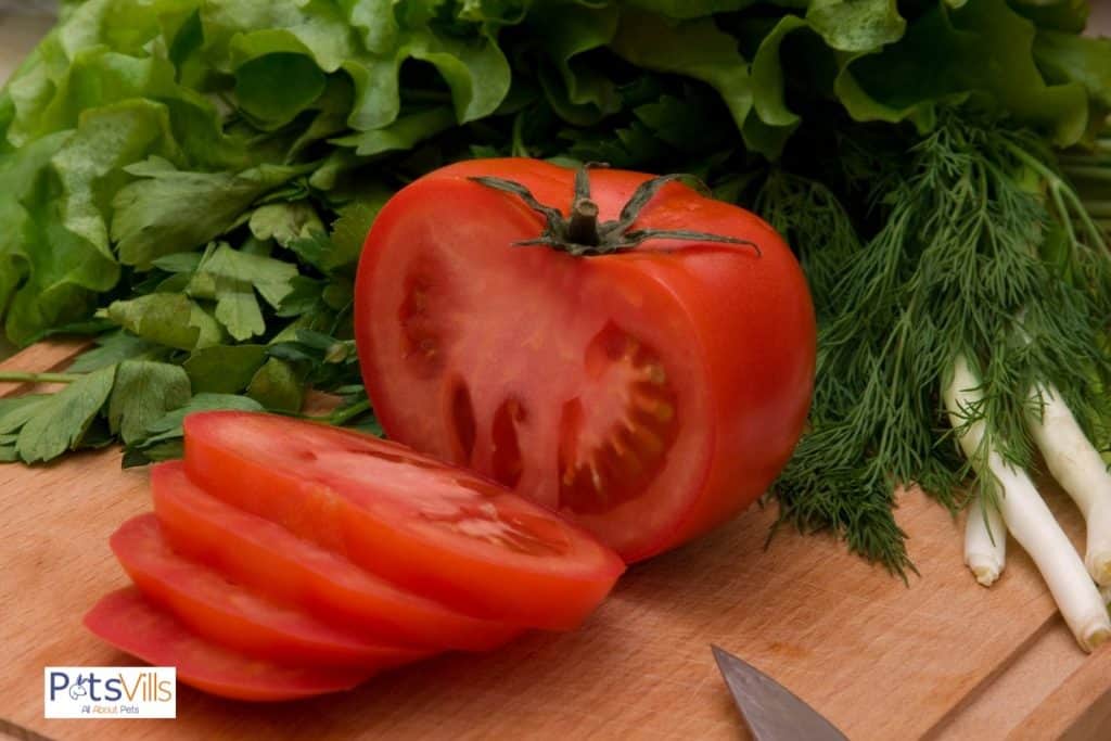 tomato slices for rabbits to eat