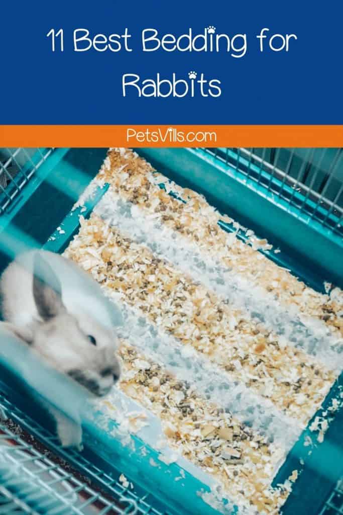 a rabbit in a cage with one of the best bedding for rabbits