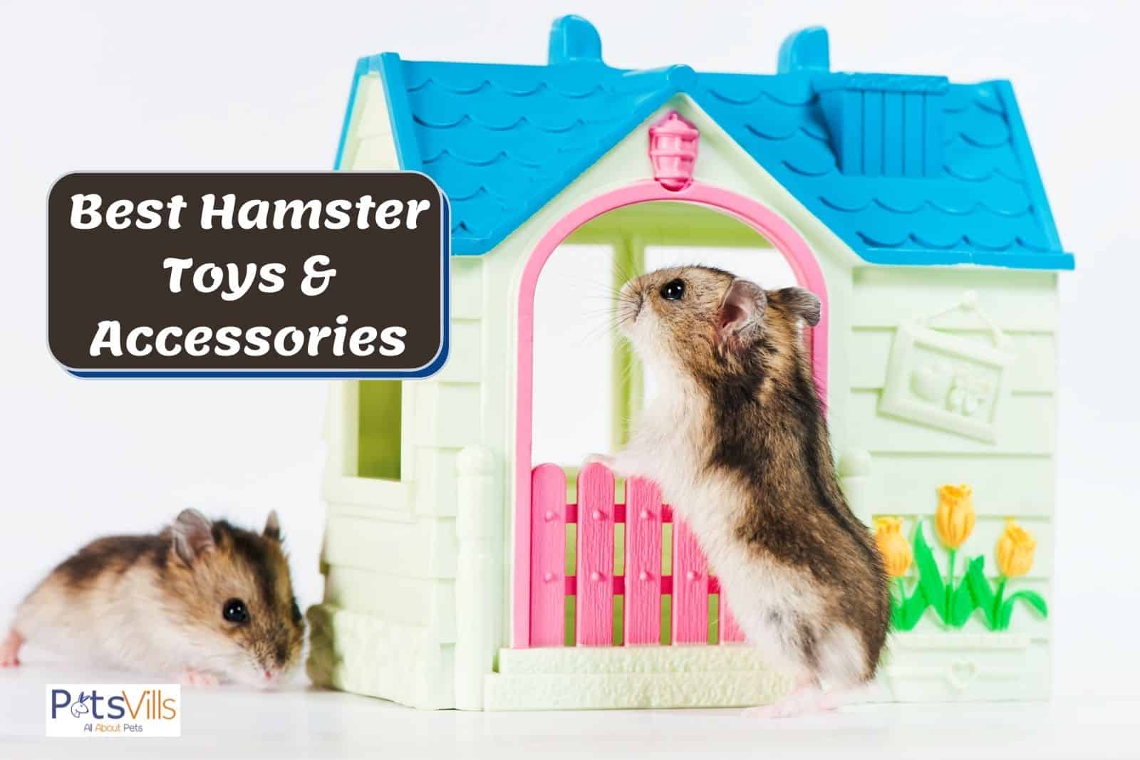 Syrian Hamster FJNATINH 12 Pack Hamsters Chew Toys Set Natural Wooden Amusement Toys and Accessories Rabbits Guinea Pig Small Animals with Wooden Chew Teeth Care Molar Toys 