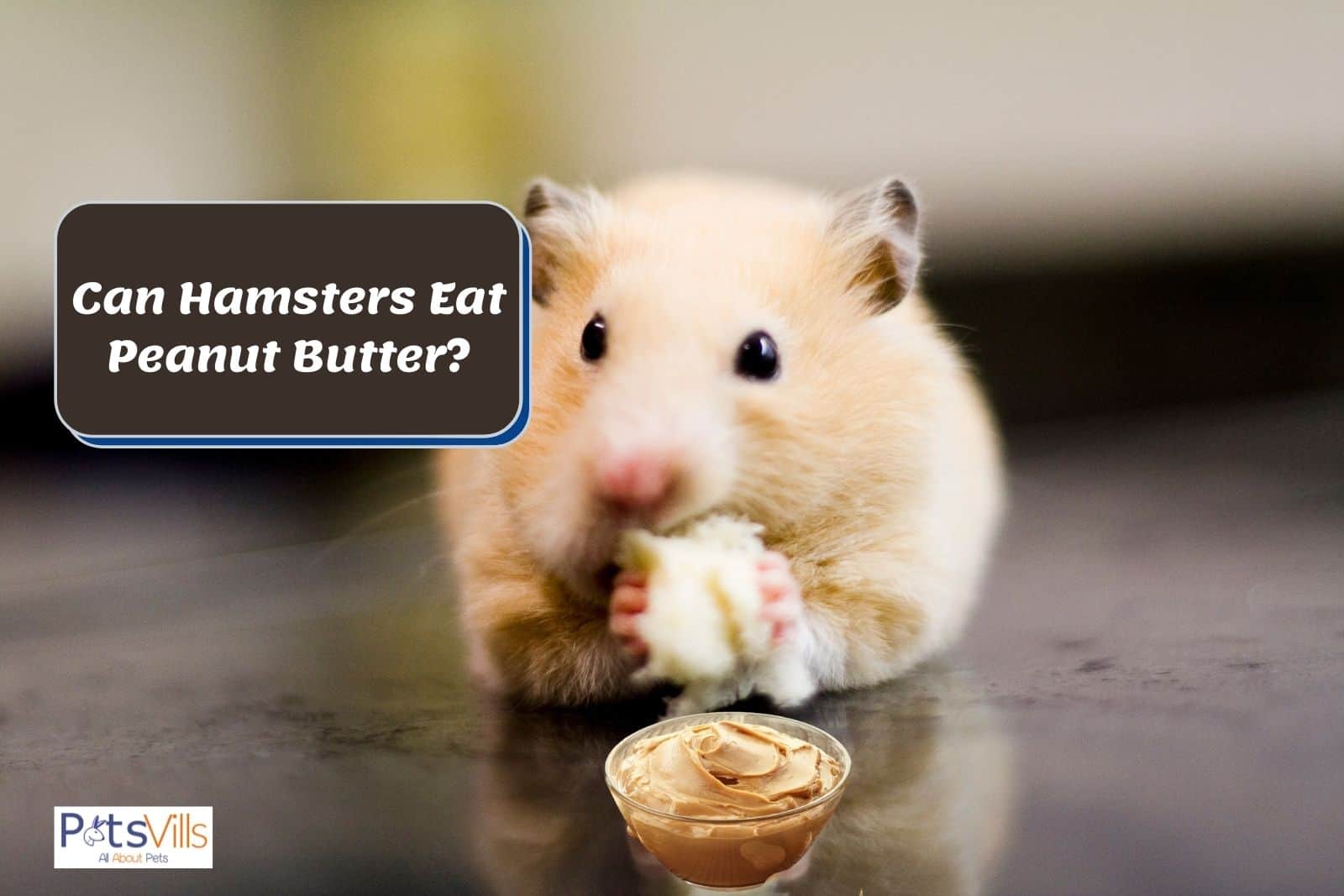 hamster with butter in front of him, can hamsters eat peanut butter