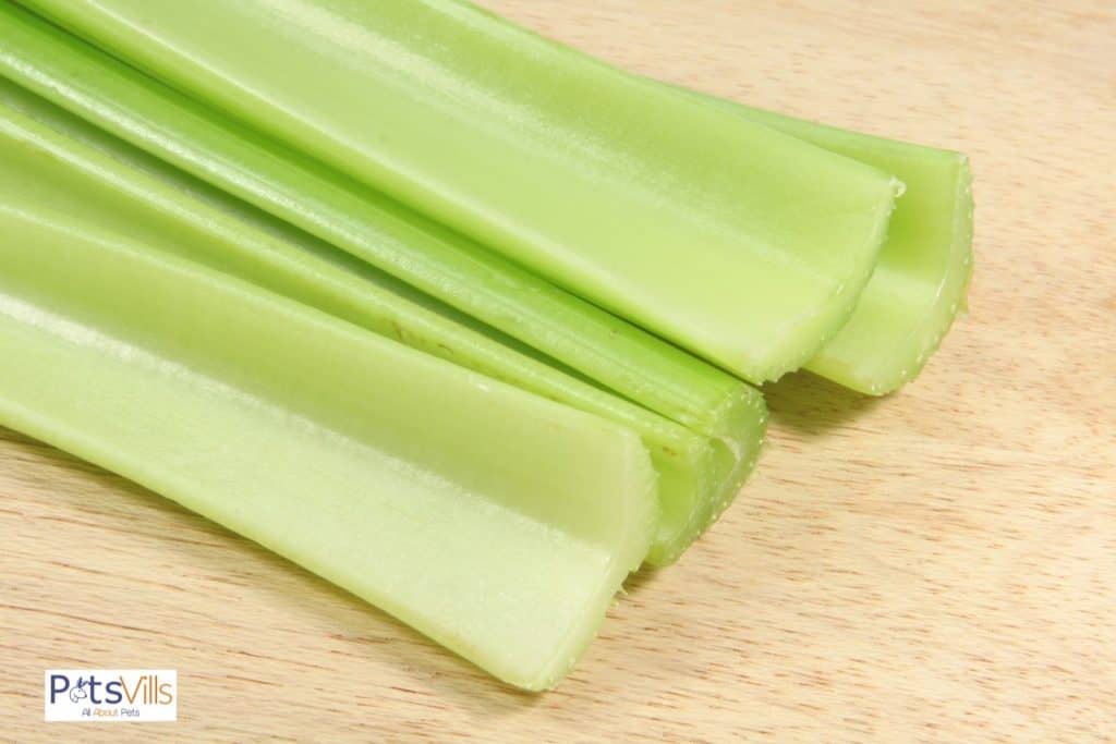 a celery stalk that is danger for rabbit to eat