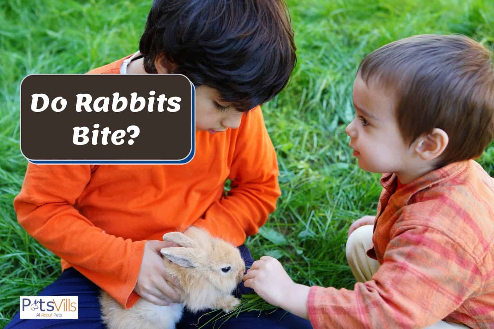 a rabbit trying to bit on kids hand, do rabbits bite