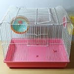 a cage for baby hamsters
