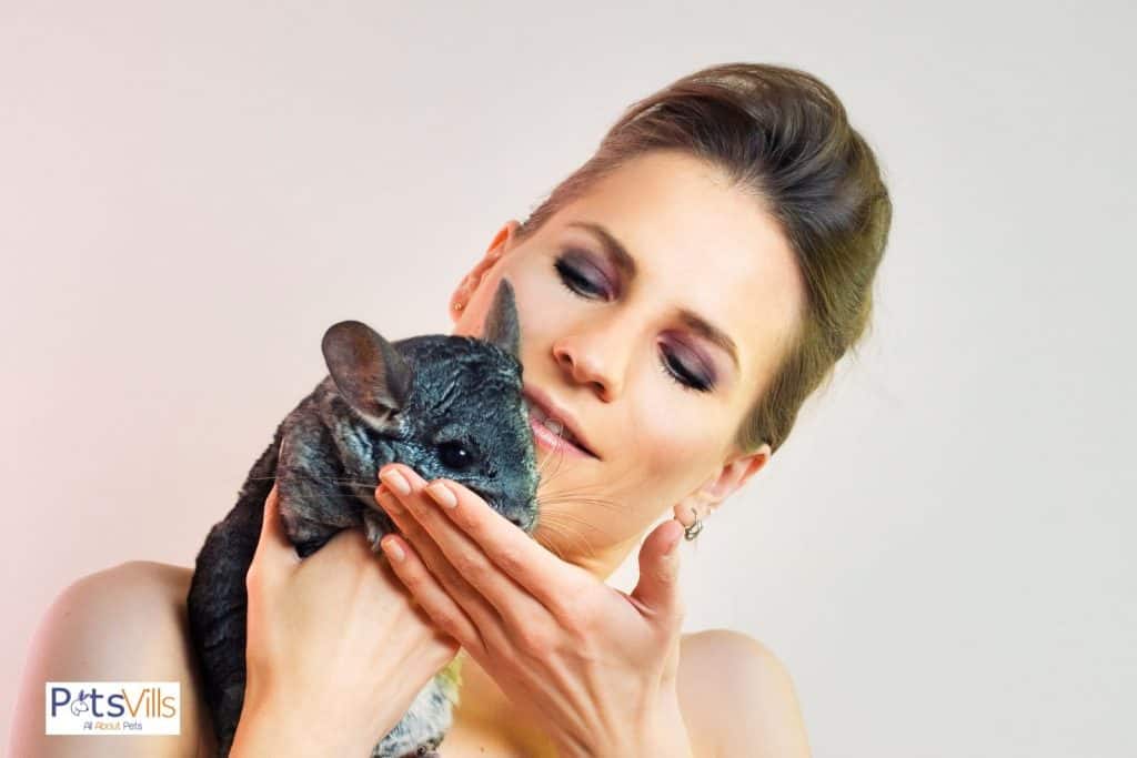 a chinchilla in a girl's hand 