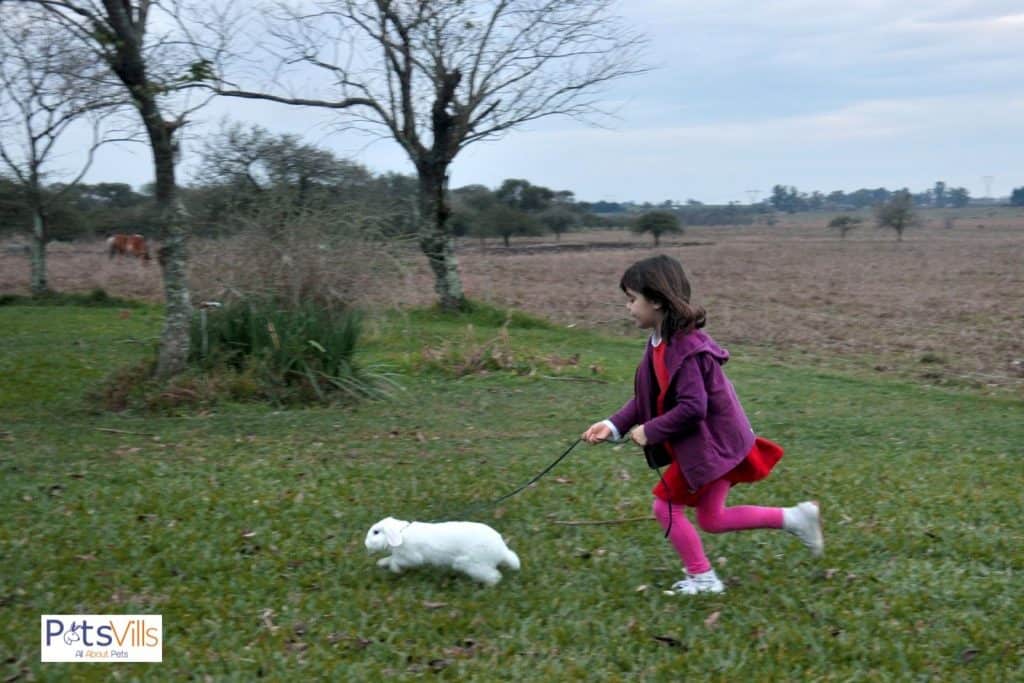 a child girl playing with rabbit, are rabbits good pets for kids