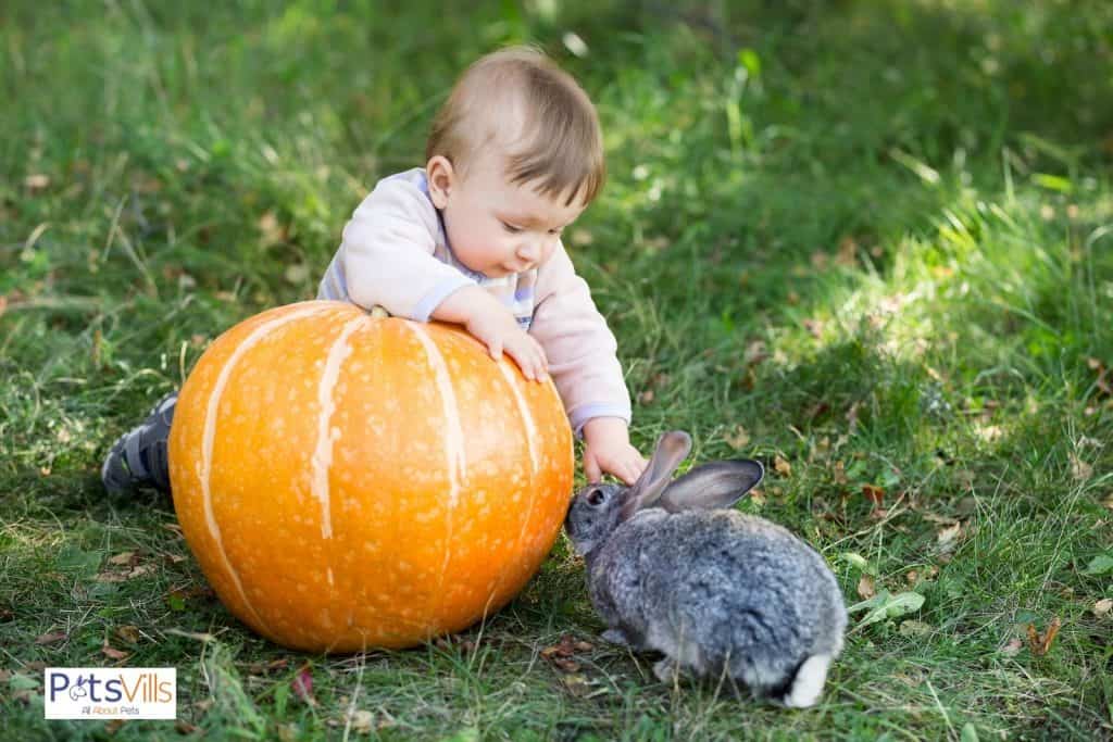 a cute children trying to play with rabbit