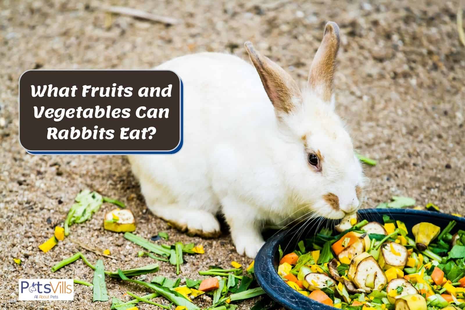 Rabbits Fruit And Vegetables Consumption