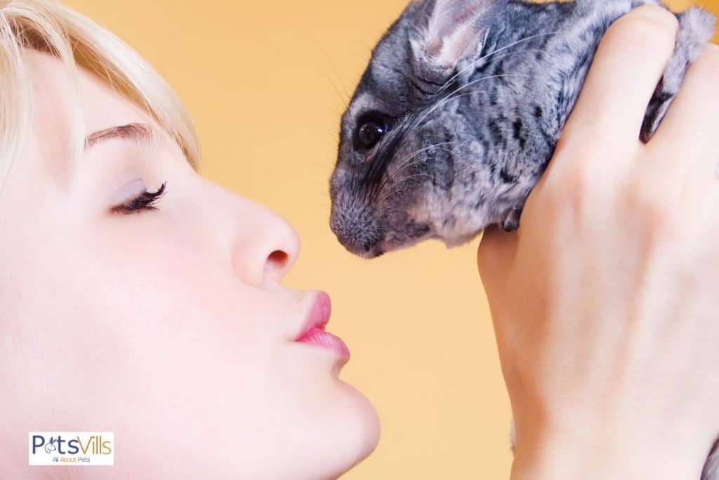 lady about to kiss her chinchilla