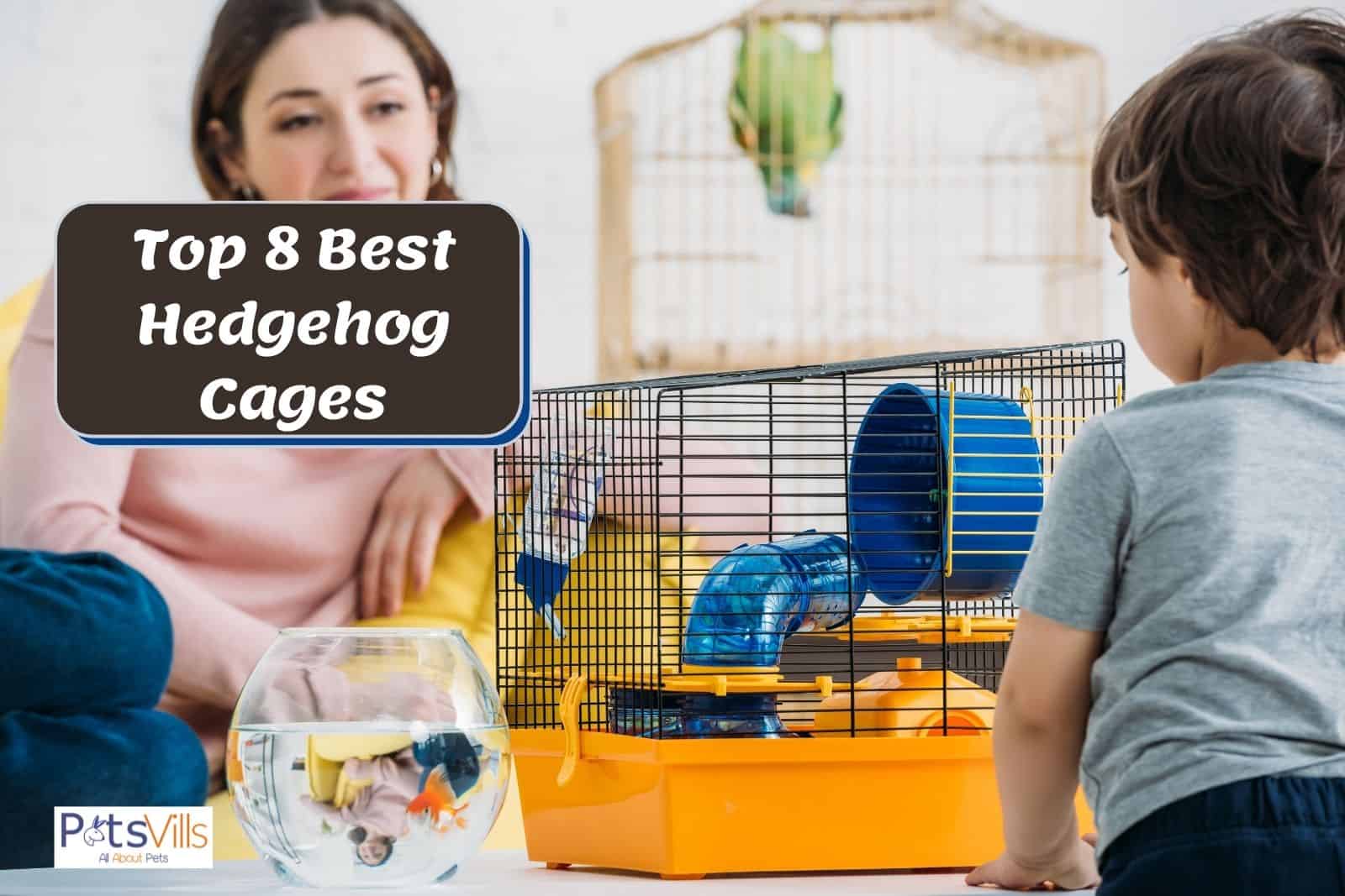 best hedgehog cages