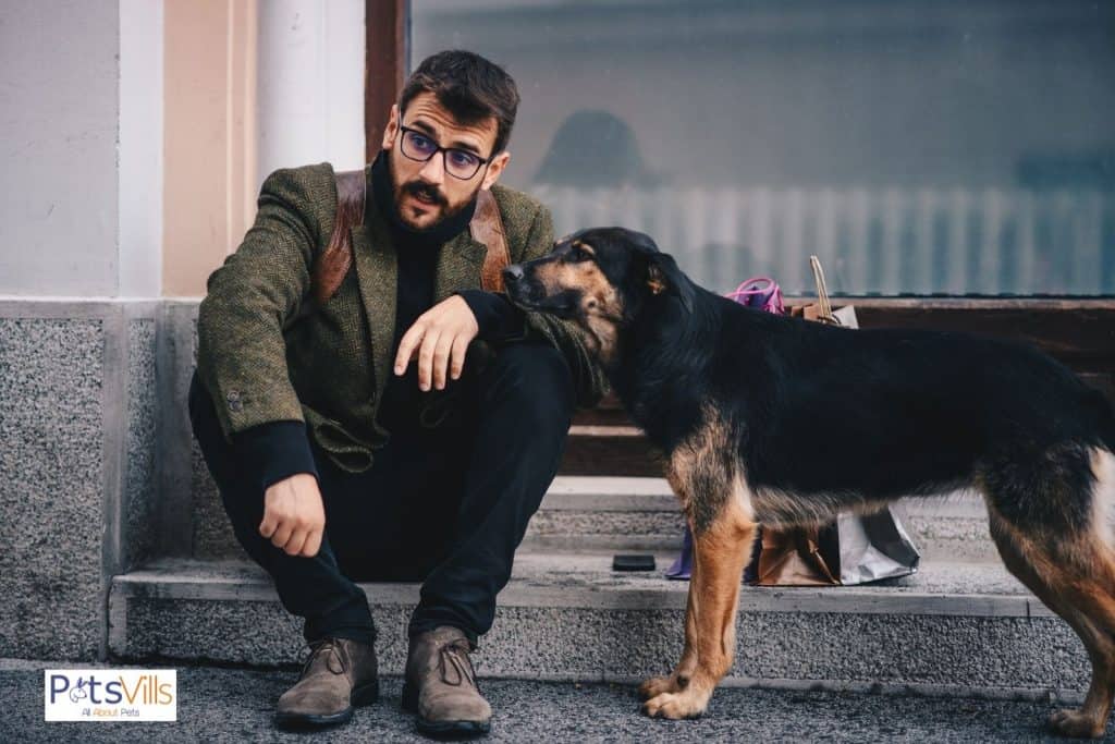 a men with his dog at roadside