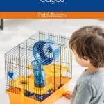 a child stand with best hedgehog cages