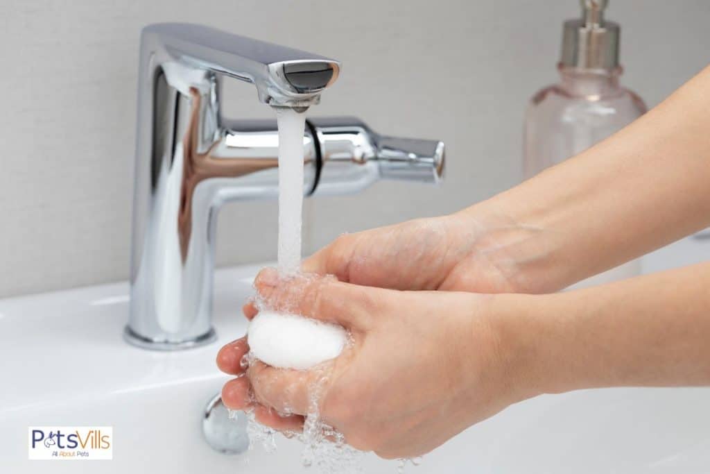 hand washing using unscented soap