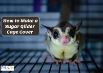 DIY Sugar Glider Cage Covers (2 Different Styles)