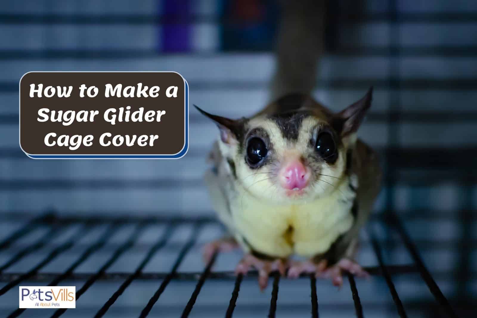 sugar glider inside his cage covered by a sugar glider cage cover