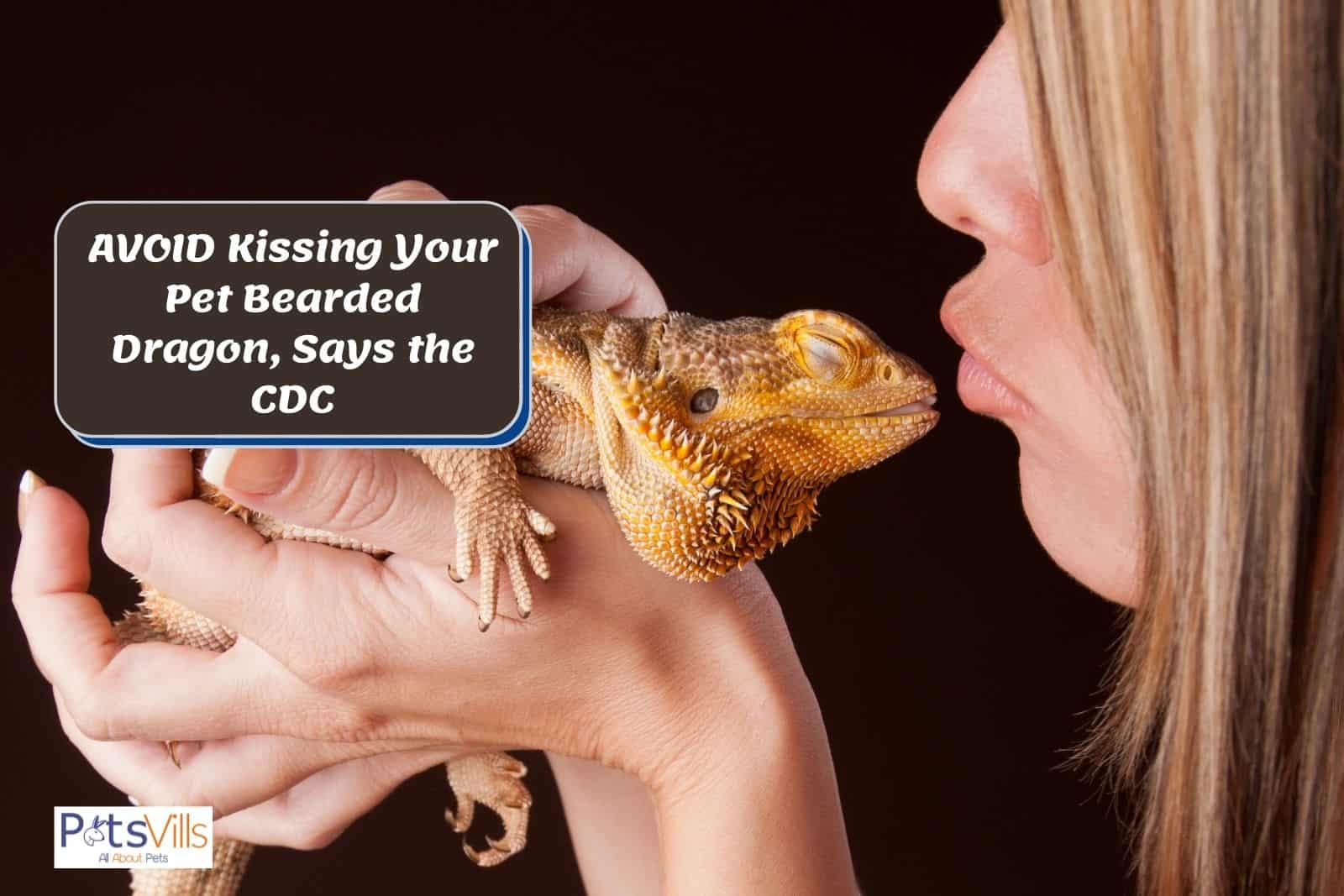 AVOID Kissing Your Pet Bearded Dragon, Says the CDC