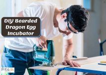 How to Make an Incubator for Bearded Dragon Eggs (6 Steps)