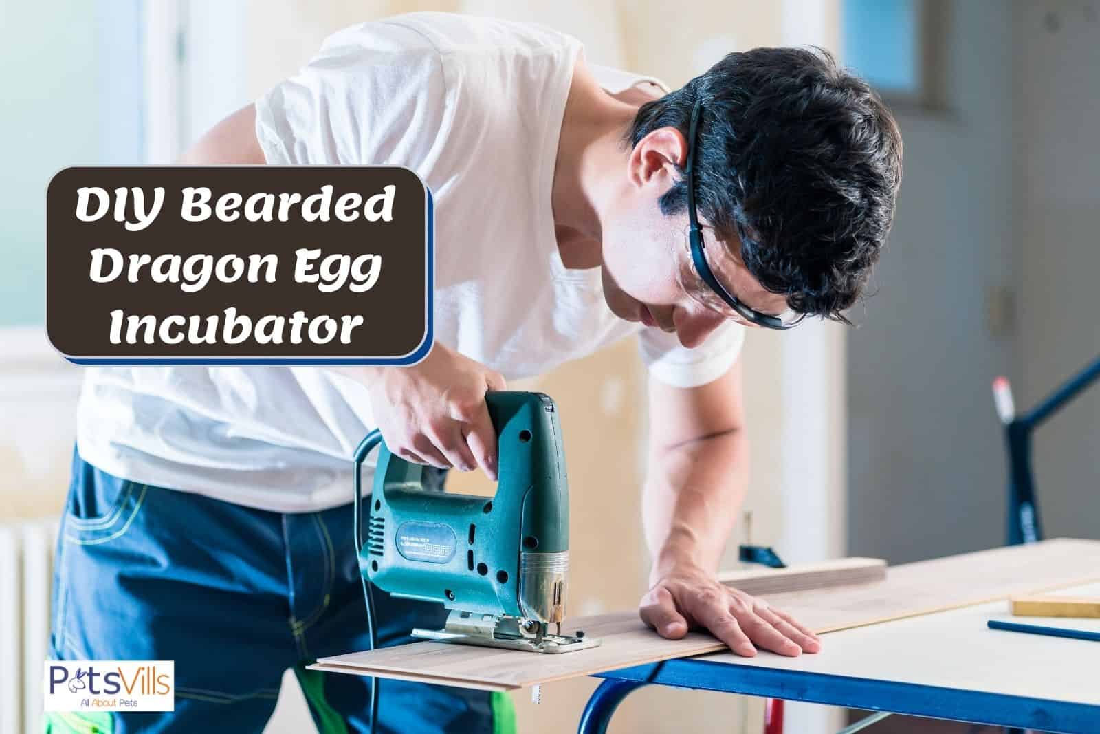 man showing How to Make an Incubator for Bearded Dragon Eggs