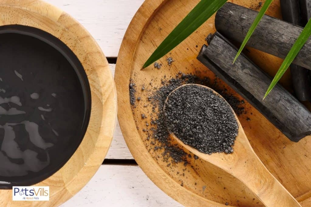 activated charcoal for bearded dragon odor