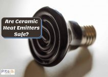 Are Ceramic Heat Emitters Safe? (Benefits & Drawbacks)