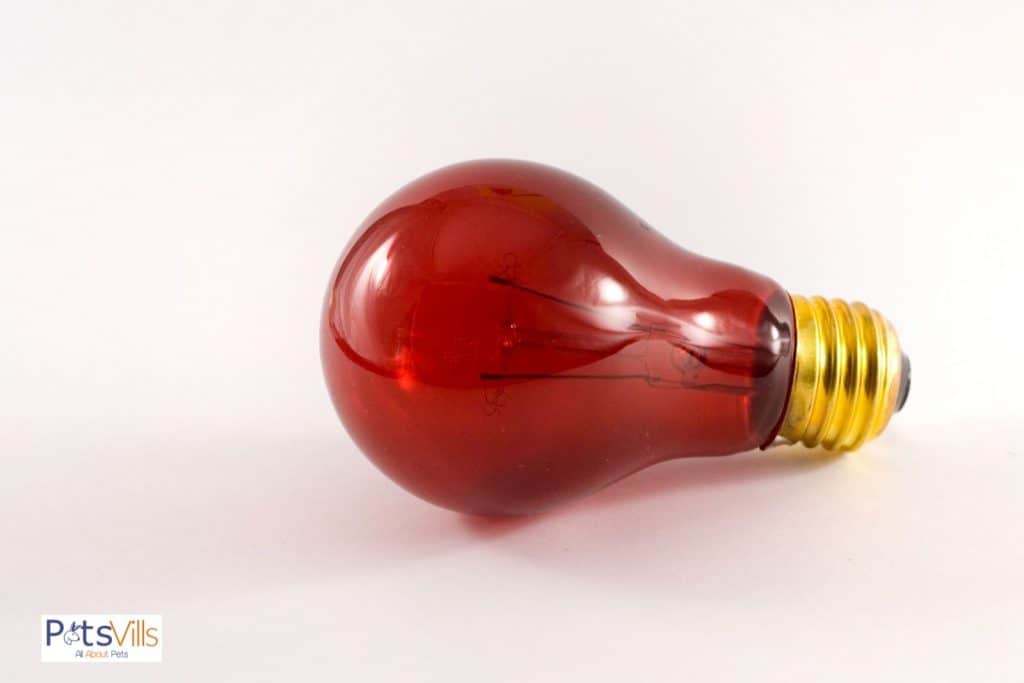 red bulb